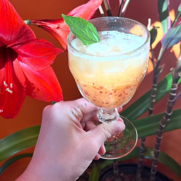 Hand holding a Sunlight Cafe drink with ice and mint, next to a red flower and green plant.