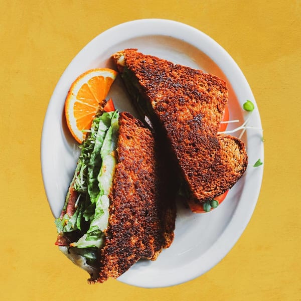 A vegetarian sandwich with toasted bread, lettuce, and tomato, served with an orange slice.