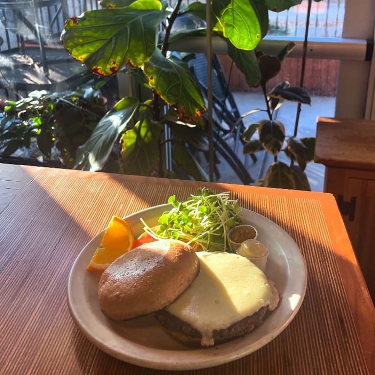 Explore our vegan food menu